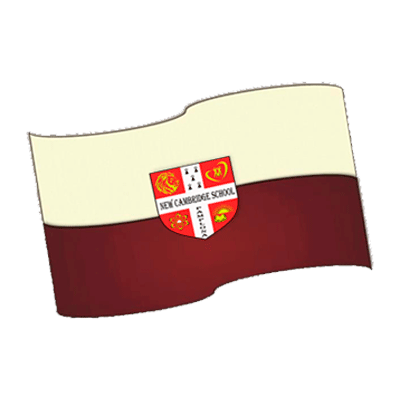 Bandera Institucional